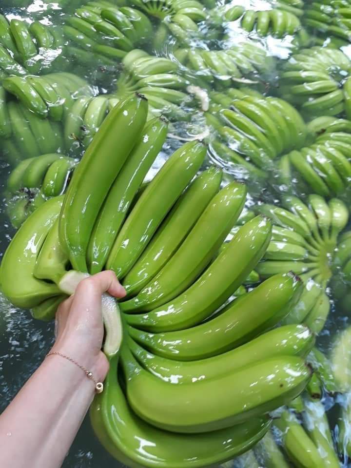 Banana